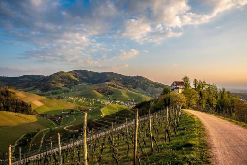 Landschaft mit Weinbergen, Dorf und Haus am Hang bei Sonnenuntergang